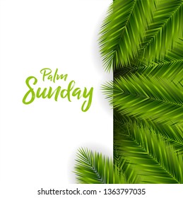 Palm Sunday Background