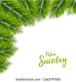 Palm Sunday Background