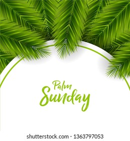Palm Sunday Background