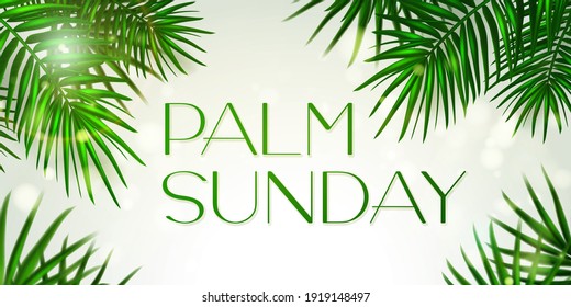 Palm Sunday - greeting banner template for Christian holiday, with palm tree leaves background. Congratulations with first day in Holy Week and symbol of triumphal entry into Jerusalem