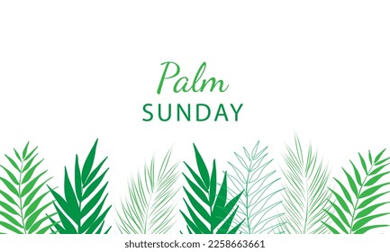 Palm Sunday - greeting banner template for Christian holiday, with palm tree leaves background. Congratulations with first day in Holy Week and symbol of triumphal entry into Jerusalem