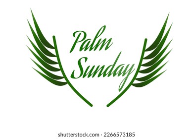 Palm Sunday greeting banner template for Christian holiday, with palm tree leaves background. Poster, Background, Banner, Greeting Card Happy Palm Sunday. Vector illustration.