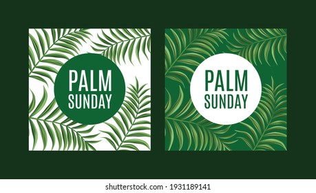 Palm sunday holiday card, palm leaves background vector