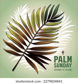 Palm Sunday holiday card, poster with palm leaves, Vector background