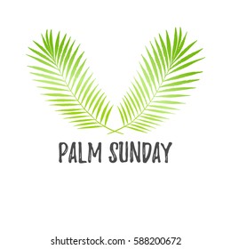 Palm Sunday holiday card, poster with palm leaves. Vector background