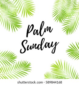 Palm Sunday holiday card, poster with palm leaves border, frame. Vector background