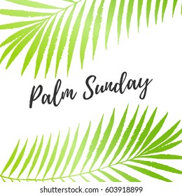 Palm Sunday holiday card, poster with palm leaves border, frame. Vector background