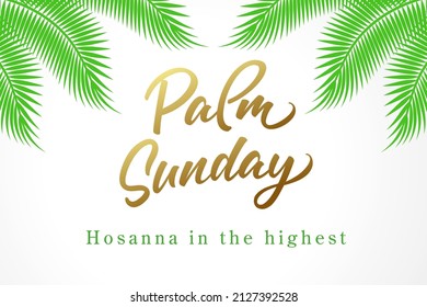 Domingo de Ramos, Hosanna en la más alta. Tarjeta cristiana de saludo con caligrafía y hojas de palma. Ilustración vectorial de la Biblia