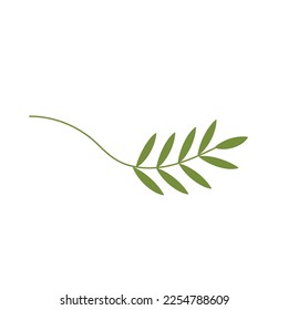 Palm Sunday illustration with olive branch. Vector isolated.