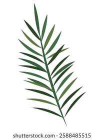 Palm Sunday with palm leaf