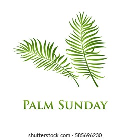 Palm Sunday leafs  icon. Vector illustration for the Christian holiday 