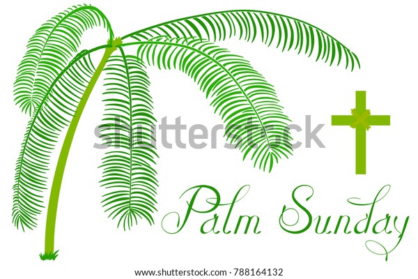 Palm Sunday Vector Illustration Palm Cross Stock Vector (Royalty Free ...