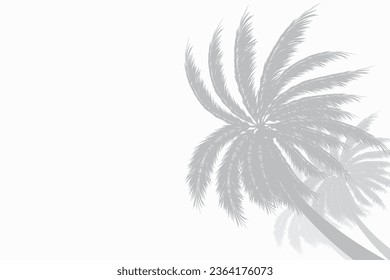 Palm tees or coconut trees. gray shadow. Side copy space. For advertisements, business cards, brochures and white background