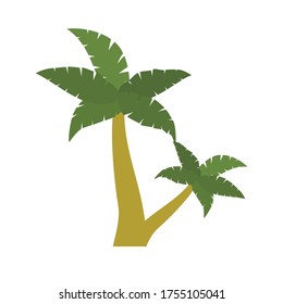 
palm theme. palm tree illustration, in a flat style.