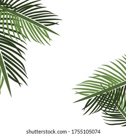 
palm theme. palm tree illustration, in a flat style.