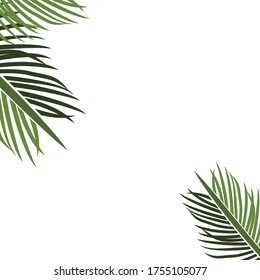 
palm theme. palm tree illustration, in a flat style.