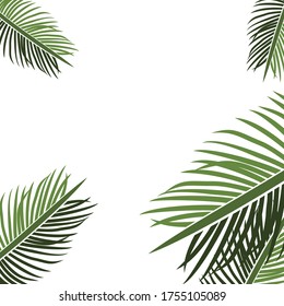 
tema de la palma. ilustración de palmeras, en un estilo plano.