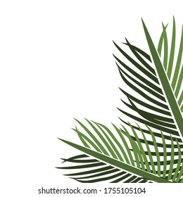 
palm theme. palm tree illustration, in a flat style.