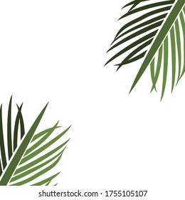 
palm theme. palm tree illustration, in a flat style.