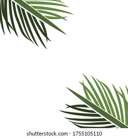 
palm theme. palm tree illustration, in a flat style.