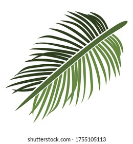 
palm theme. palm tree illustration, in a flat style.