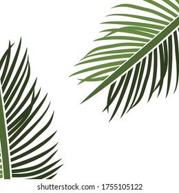 
palm theme. palm tree illustration, in a flat style.