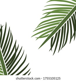 
palm theme. palm tree illustration, in a flat style.
