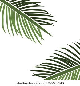 
palm theme. palm tree illustration, in a flat style.