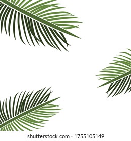 
palm theme. palm tree illustration, in a flat style.