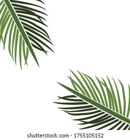 
palm theme. palm tree illustration, in a flat style.