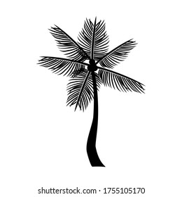 
tema de la palma. ilustración de palmeras, en un estilo plano.