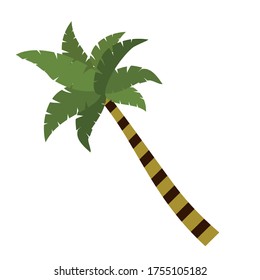 
tema de la palma. ilustración de palmeras, en un estilo plano.