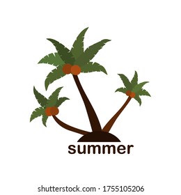 
palm theme. palm tree illustration, in a flat style.