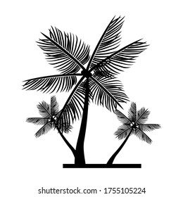 
tema de la palma. ilustración de palmeras, en un estilo plano.