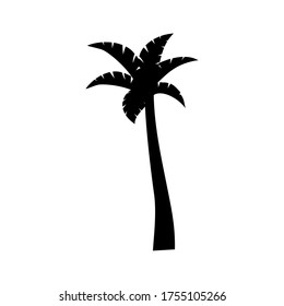 
palm theme. palm tree illustration, in a flat style.
