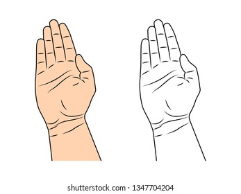 Palm, top view. Vector illustration in flat style.