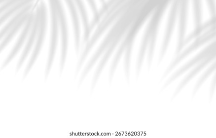 Superposición de sombra transparente con siluetas de hojas realistas. Fondo iluminado por la luz del sol a través del follaje tropical. Maqueta con sombra de hojas de palma tropical. Ilustración vectorial