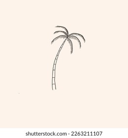 Palmenlogo auf weißem Hintergrund