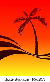 Palm Tree