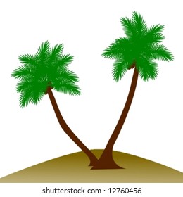 palm tree