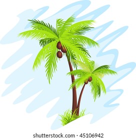 palm tree