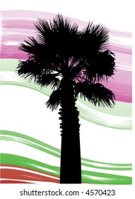 palm tree
