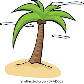 palm tree