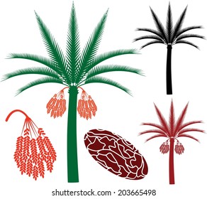 Palm tree. Abstract date palm on white background