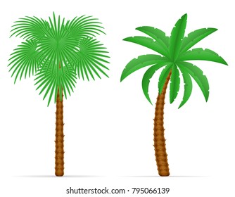 palm tree and accessories for rest stock vector illustration isolated on white background