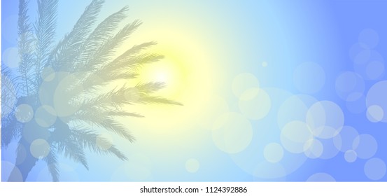 Palm tree against the blue sky and the sun
