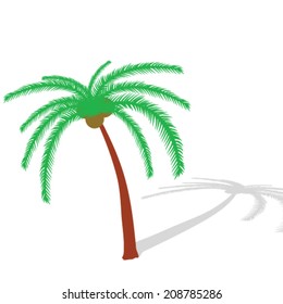 palm tree art illustration vector on white