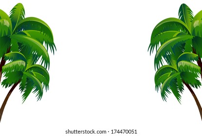 Palm Tree Background