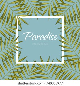 Palm tree banner. Exotic aloha frame background. Paradise vector leaves.
