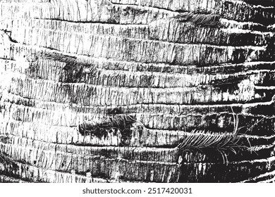Palm tree bark texture , Background texture, vector illustration.